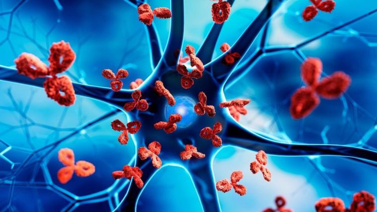 Nerve cell with blue background attacked by red antibodies - 3D illustration of autoimmune disease