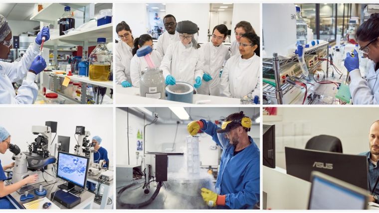 A collage of images of people working in labs in the medical sciences