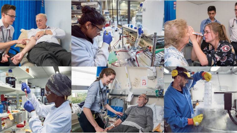Collage of images of medical students in hospital and laboratory environments