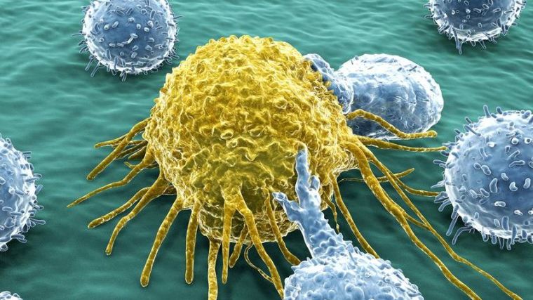 The development of immunotherapeutics has revolutionised treatment for cancer patients